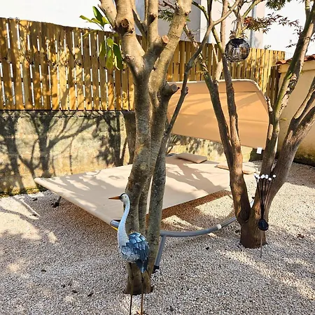 L'oiseau Du Paradis - & Daire